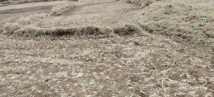 Plot Area in  Plot at Igatpuri – for Sale