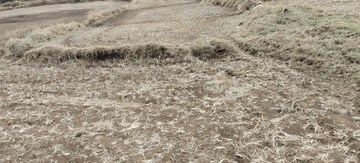 Plot Area in  Plot at Igatpuri – for Sale