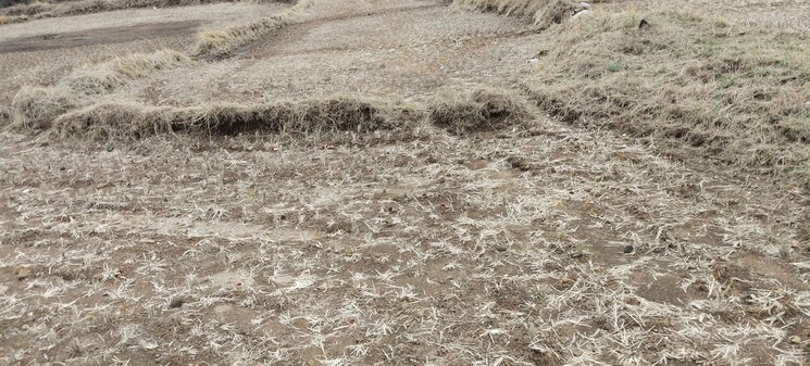 undefined, igatpuri  2 Acre Plot In Igatpuri Nashik 8674361