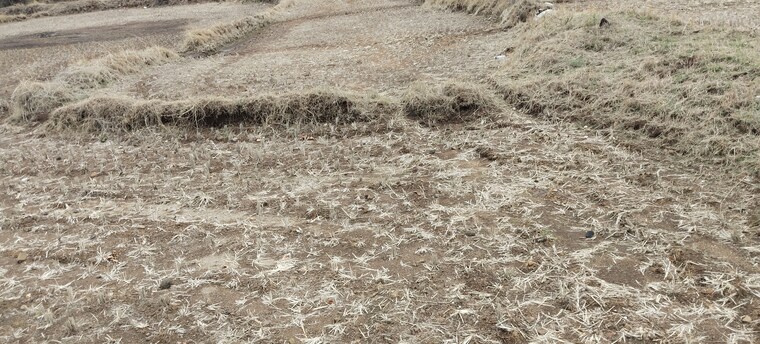 undefined, igatpuri  2 Acre Plot In Igatpuri Nashik 8674361