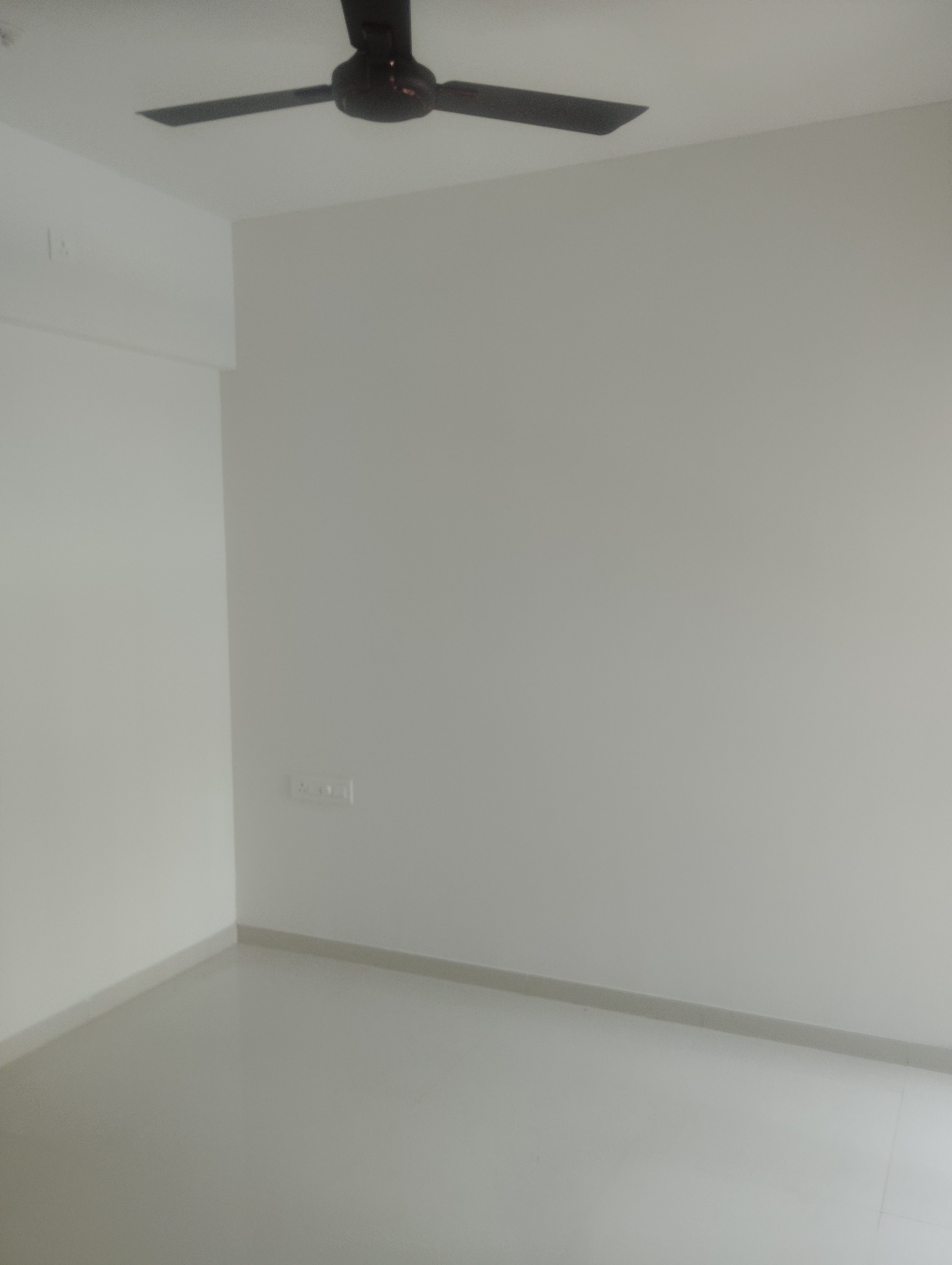 2 BHK Apartment For Rent in Runwal Eirene
