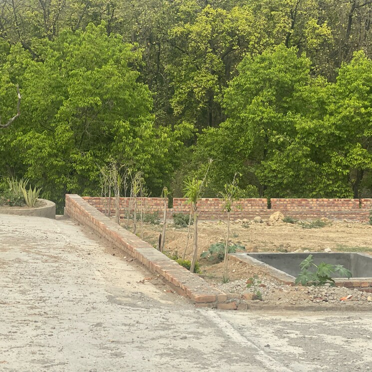 undefined, dehradun cantt  200 Sq.Yd. Plot In Dehradun Cantt Dehradun 8674502