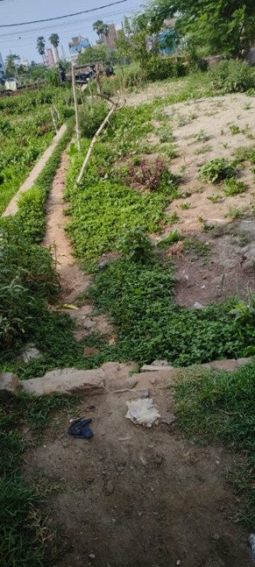  Plot – Exterior View View at Kumhrar - for Sale