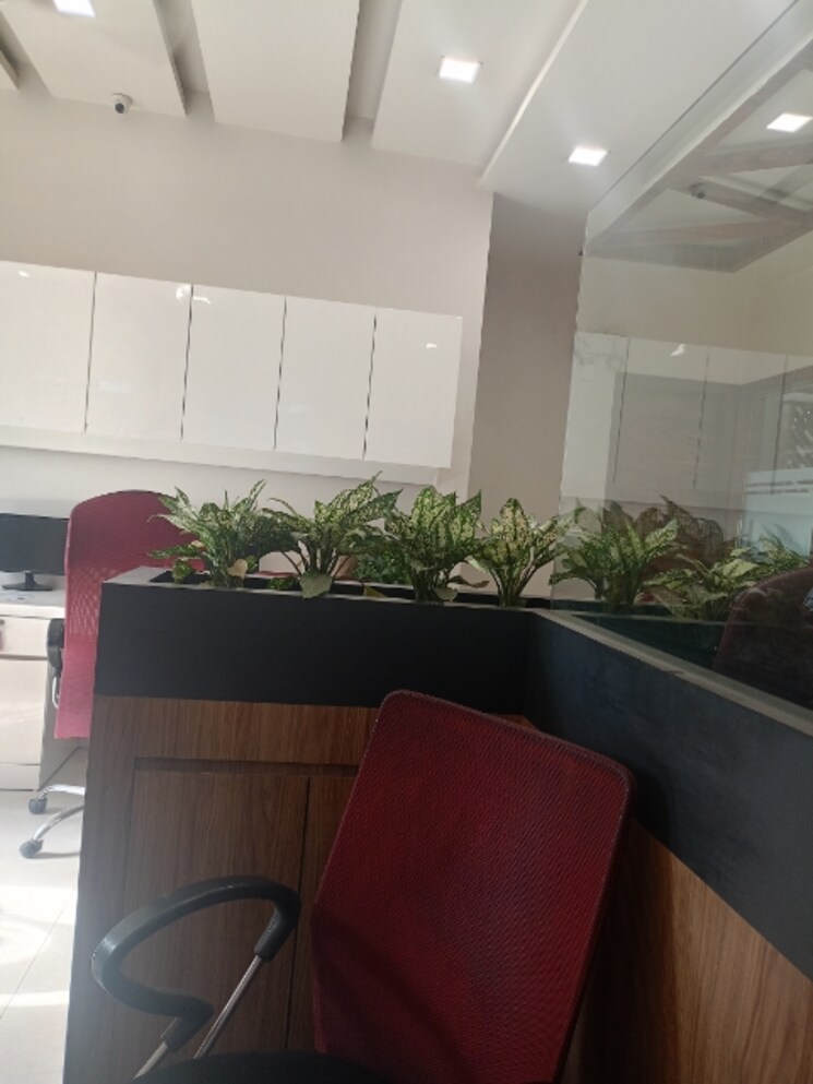 Kitchen, fidato-honour-homes 3 Bedroom 155 Sq.Yd. Builder Floor In Sector 89 Faridabad 8674785