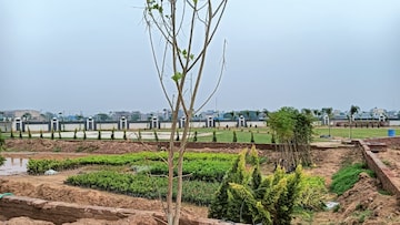  Plot – Exterior View View at Panchkula Urban Estate - for Sale