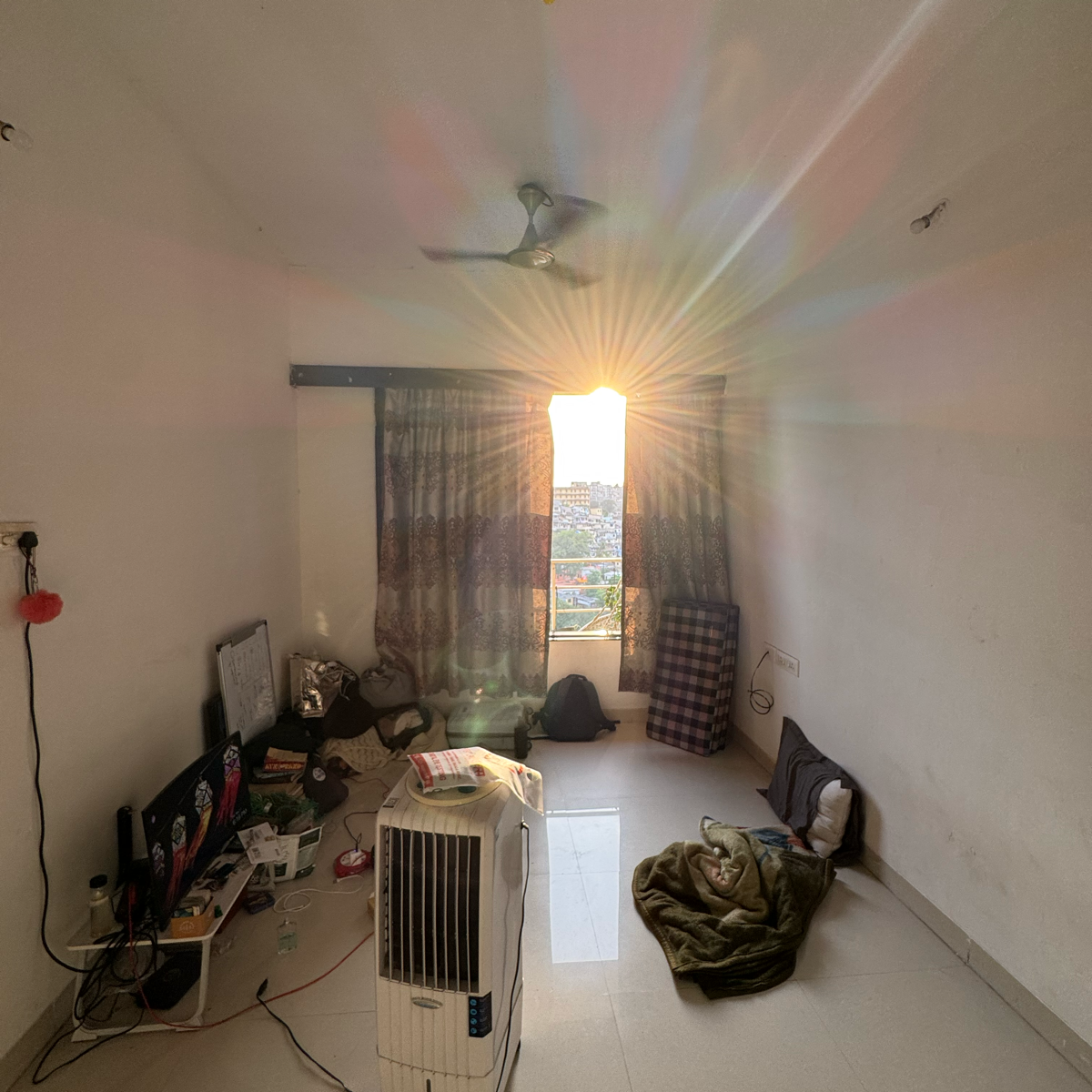 1 BHK Apartment For Rent in Accel Belvedere