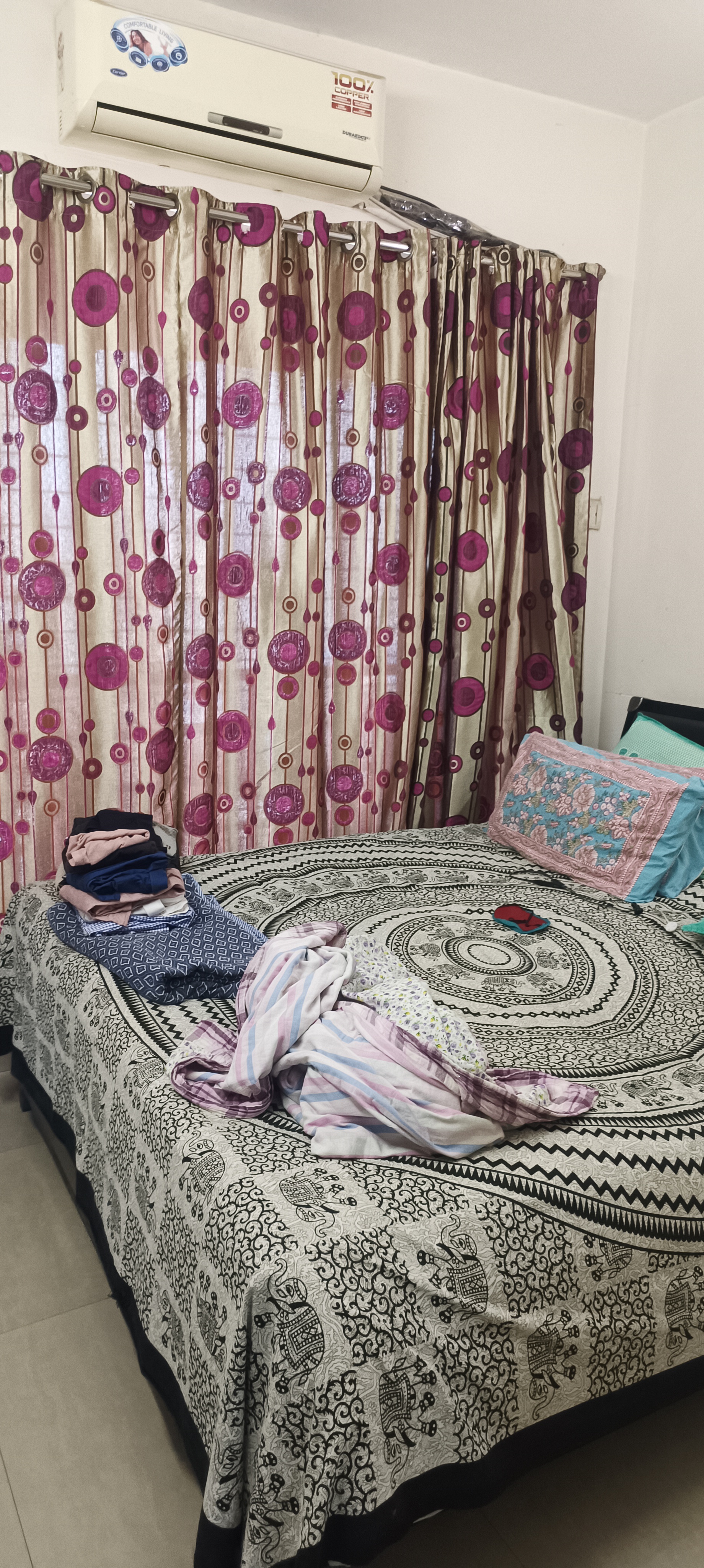 1 BHK Apartment For Rent in Swaraj Bella Vista