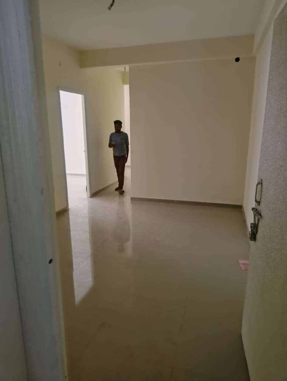 2 BHK Apartment For Rent in Pyramid Pride