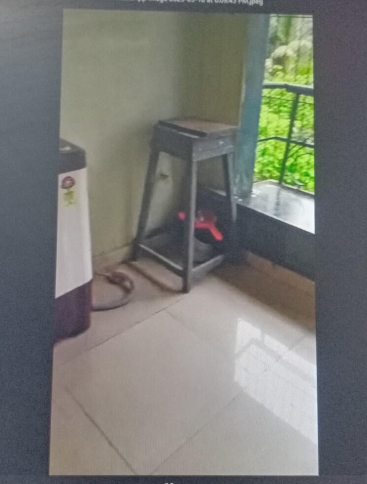 Balcony, kharghar sector 20 2 Bedroom 1100 Sq.Ft. Apartment In Kharghar Sector 20 Navi Mumbai 8675250