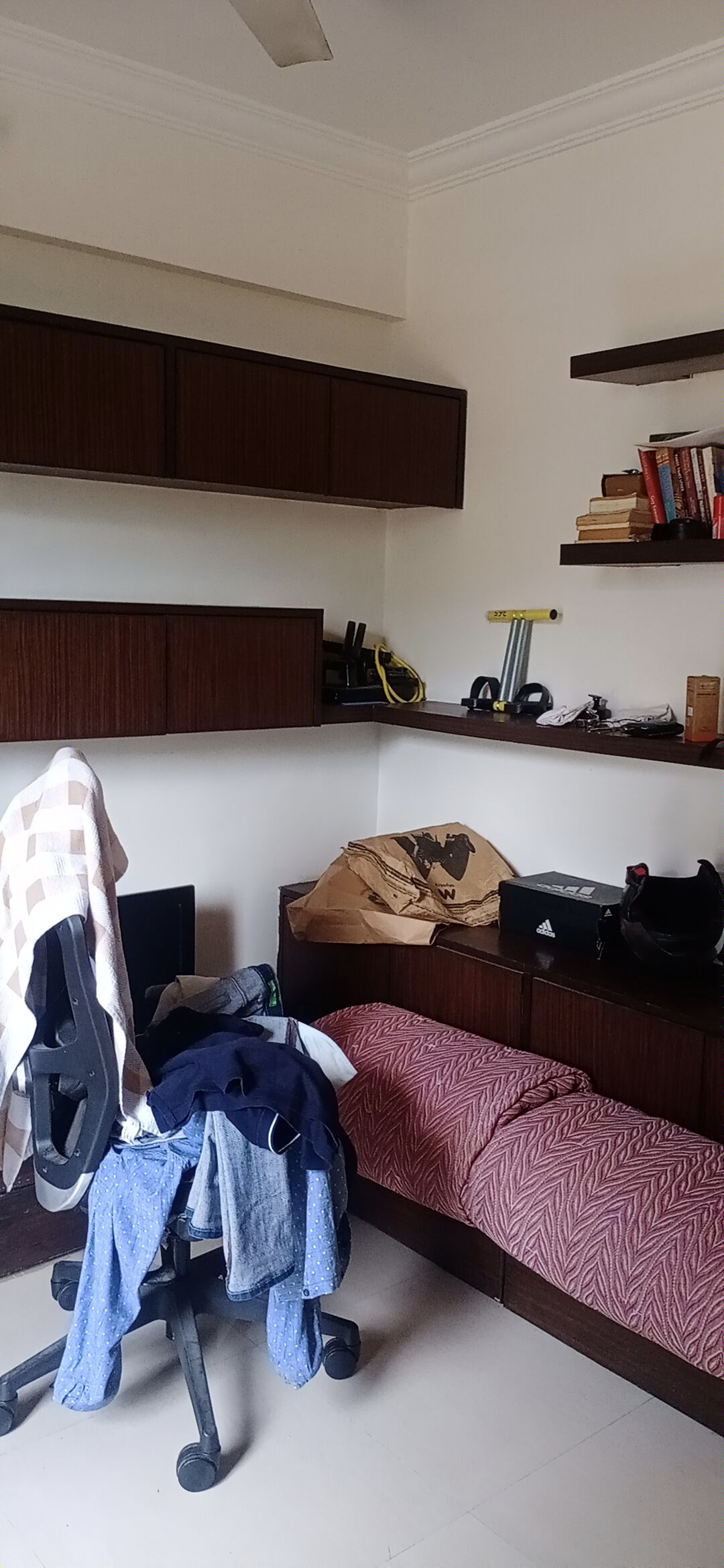 1 BHK Apartment For Rent in Tulip CHS Shivai Nagar