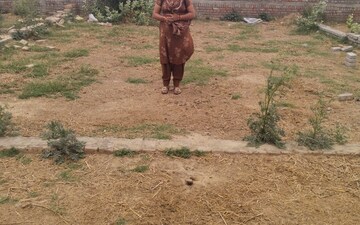 Plot For Sale in Jeevan Vihar