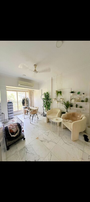 3 BHK Apartment For Rent in Prestige Court, Khar West