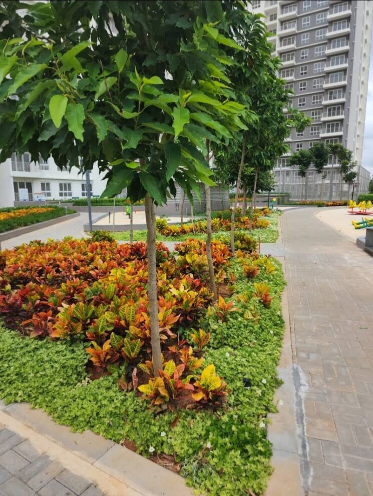 Garden, godrej-aqua 3 Bedroom 1451 Sq.Ft. Apartment In International Airport Road Bangalore 8675835