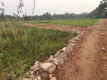 Plot Area in  Plot at Joka – for Sale