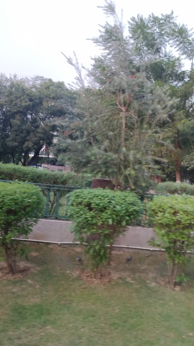 Garden, ansal-continental-villas 3.5 Bedroom 204 Sq.Yd. Independent House In Sector 22 Gurgaon 8675942