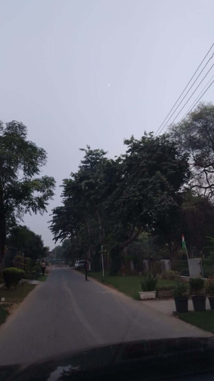 Garden, ansal-continental-villas 3.5 Bedroom 204 Sq.Yd. Independent House In Sector 22 Gurgaon 8675942