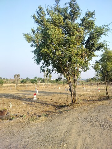 Plot Area in  Plot at Wagholi – for Sale