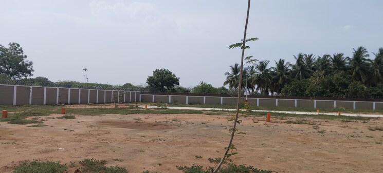 undefined, panjappur  1500 Sq.Ft. Plot In Panjappur Trichy 8676044