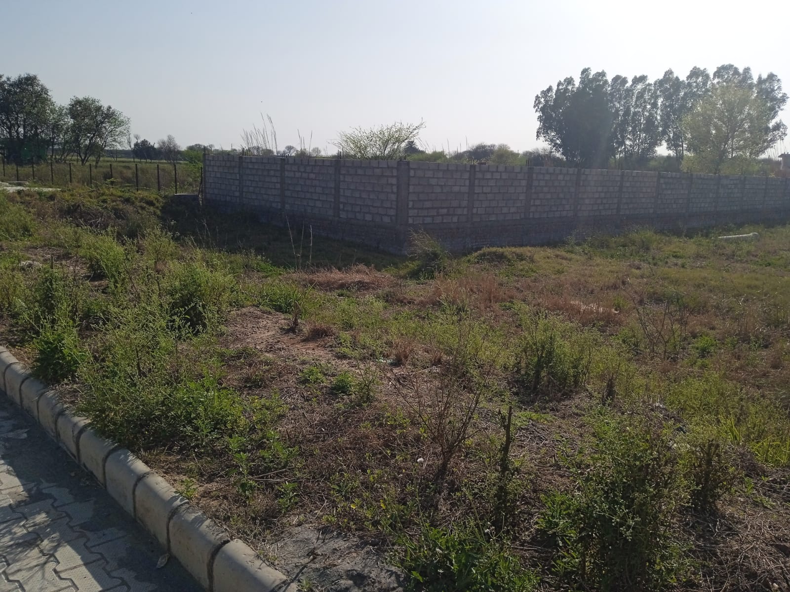 Plot For Sale in Tdi Kingston Square