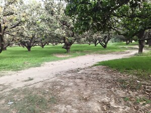  Land For Sale in Nawabganj