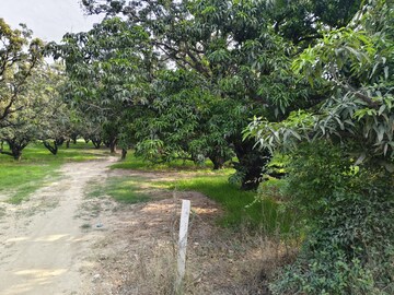 Master Bedroom in  Land at Nawabganj – for Sale