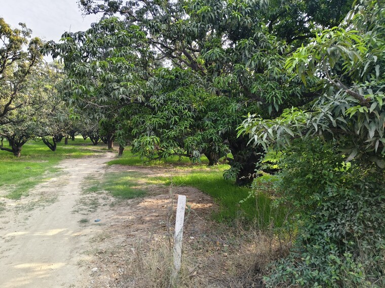 Master Bedroom, nawabganj Commercial Land 8 Acre In Nawabganj Unnao 8676111