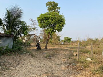  Plot For Sale in Alibag