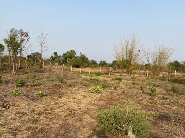 Plot Area in  Plot at Alibag – for Sale