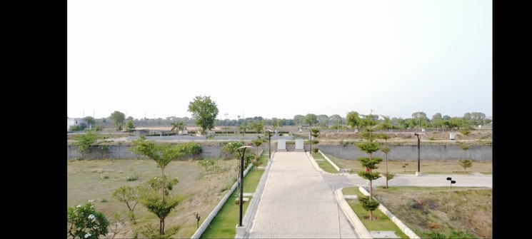 undefined, mansha-orchid  100 Sq.Yd. Plot In Sector 110 Faridabad 8676421