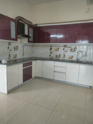 Kitchen in 3 BHK Apartment at Gaur Sportswood, Sector 79 – for Rent