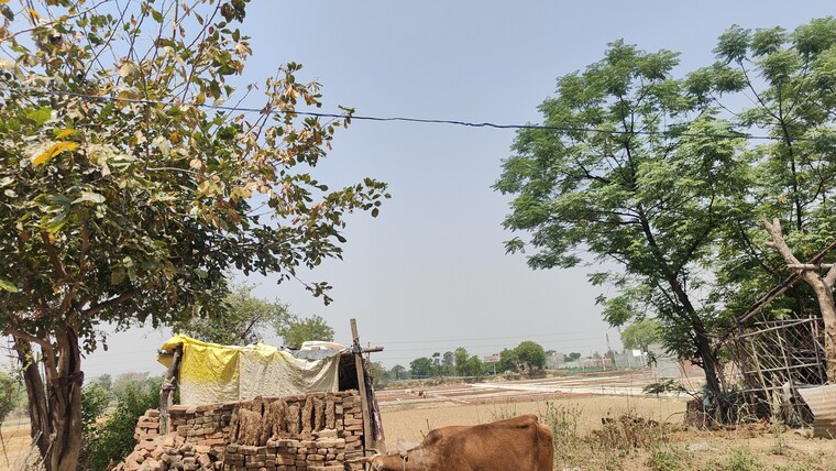 undefined, deva road  700 Sq.Ft. Plot In Deva Road Lucknow 8676942