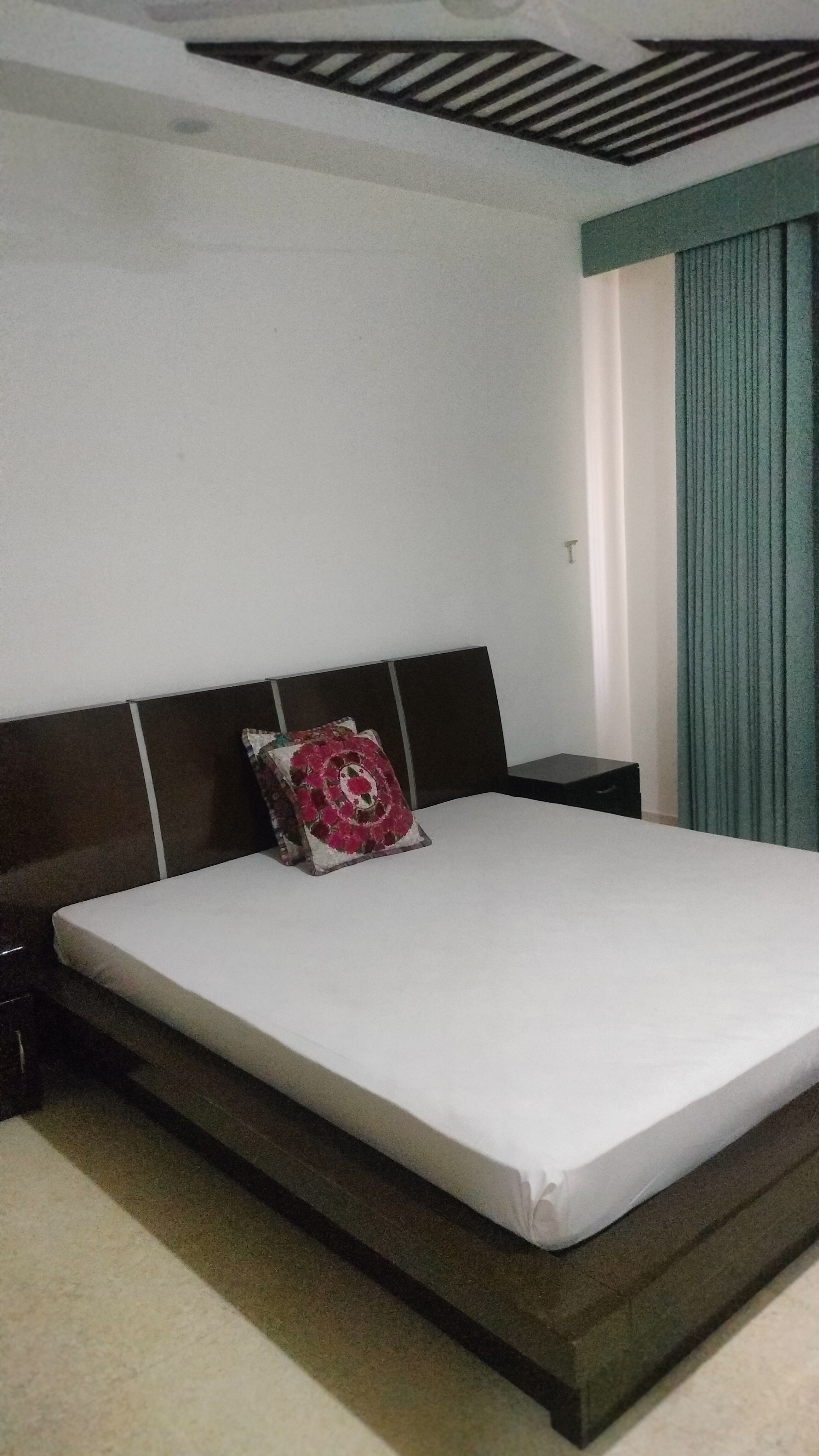 3 BHK Builder Floor For Rent in Green Park