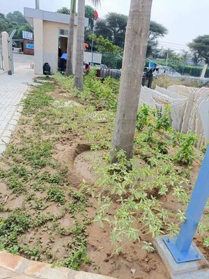  Plot – Garden View at Spiti Heritage Homes, Pataudi - for Sale