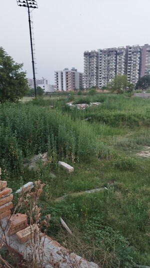 Plot Area in  Plot at Raj Nagar Extension – for Sale