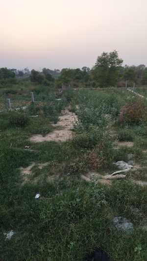 Plot Area in  Plot at Raj Nagar Extension – for Sale