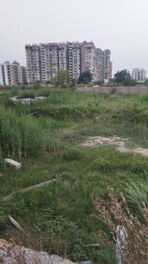 Plot Area in  Plot at Raj Nagar Extension – for Sale