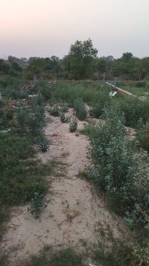  Plot For Sale in Raj Nagar Extension