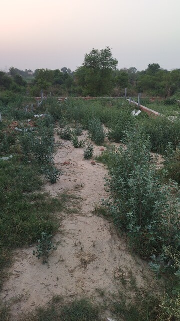 Plot Area in  Plot at Raj Nagar Extension – for Sale