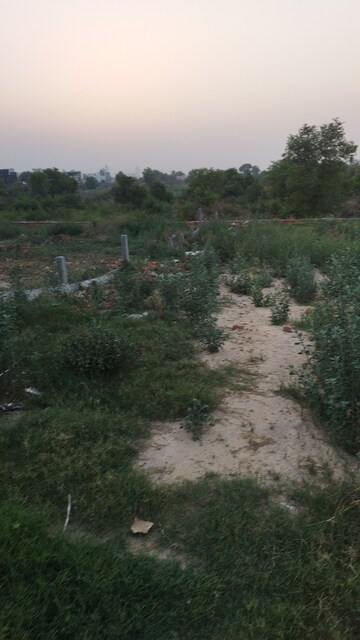 Plot Area in  Plot at Raj Nagar Extension – for Sale