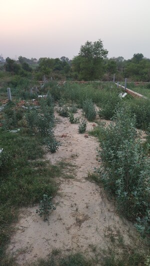 Plot Area in  Plot at Raj Nagar Extension – for Sale