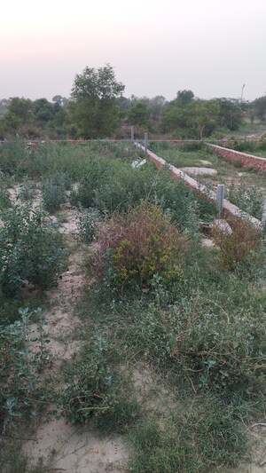  Plot For Sale in Raj Nagar Extension