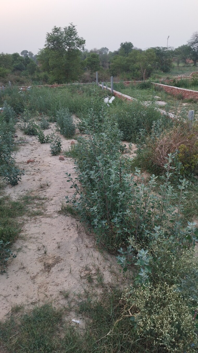 Garden, raj nagar extension  300 Sq.Yd. Plot In Raj Nagar Extension Ghaziabad 8677650