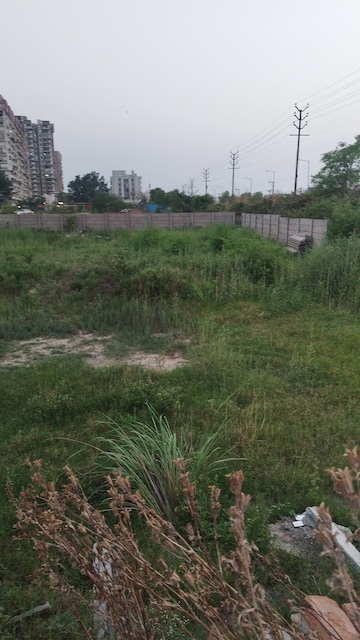 Plot Area in  Plot at Raj Nagar Extension – for Sale