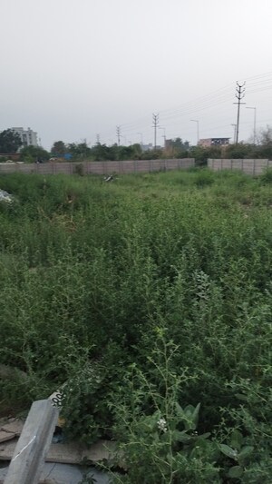 Plot Area in  Plot at Raj Nagar Extension – for Sale