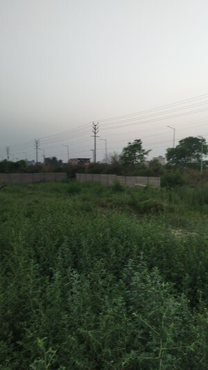 Plot Area in  Plot at Raj Nagar Extension – for Sale