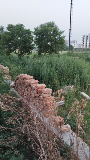 Plot Area in  Plot at Raj Nagar Extension – for Sale