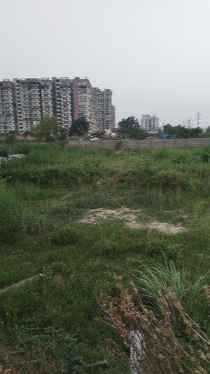 Plot Area in  Plot at Raj Nagar Extension – for Sale