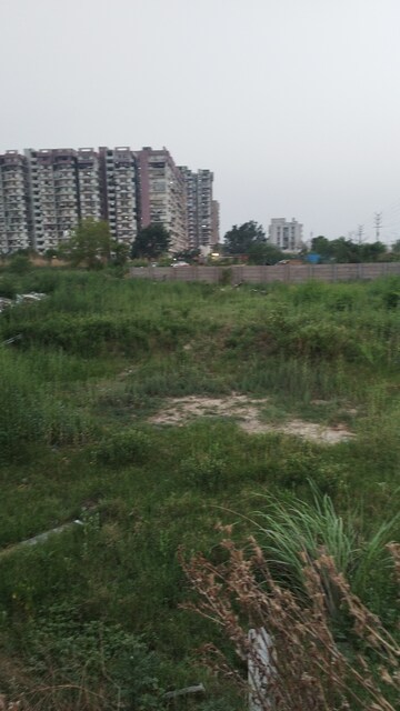Plot Area in  Plot at Raj Nagar Extension – for Sale