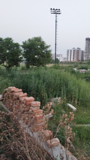 Plot Area in  Plot at Raj Nagar Extension – for Sale