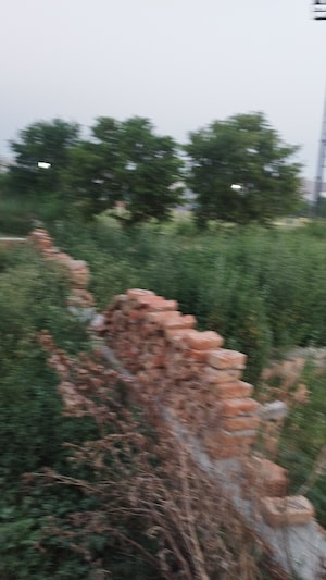 Plot Area in  Plot at Raj Nagar Extension – for Sale